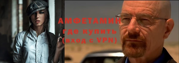 твердый Вяземский