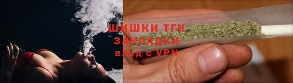 эйфоретик Бородино