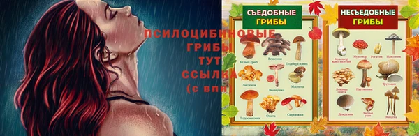 эйфоретик Бородино