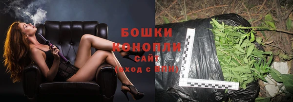 эйфоретик Бородино